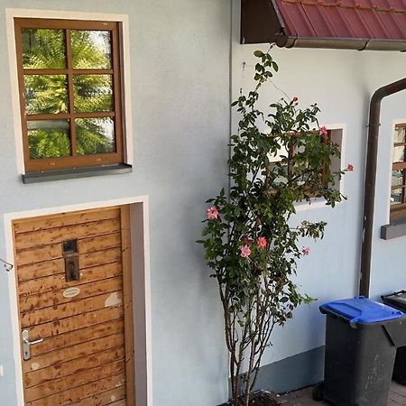 Ferienwohnung Im Bueckle Gottenheim Ngoại thất bức ảnh